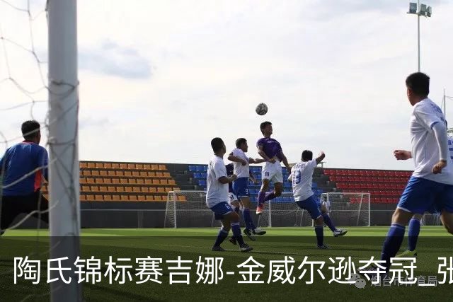 陶氏锦标赛吉娜-金/威尔逊夺冠 张维维/张雅惠T12